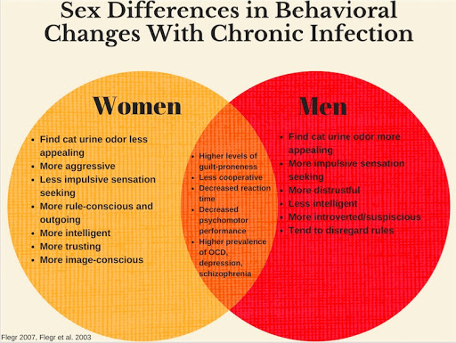 sex differences