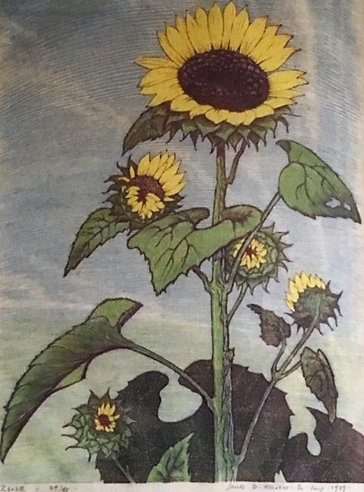 Sunflower James D. Havens. 1939. Featured image is Cinnamon Fern and Veery.